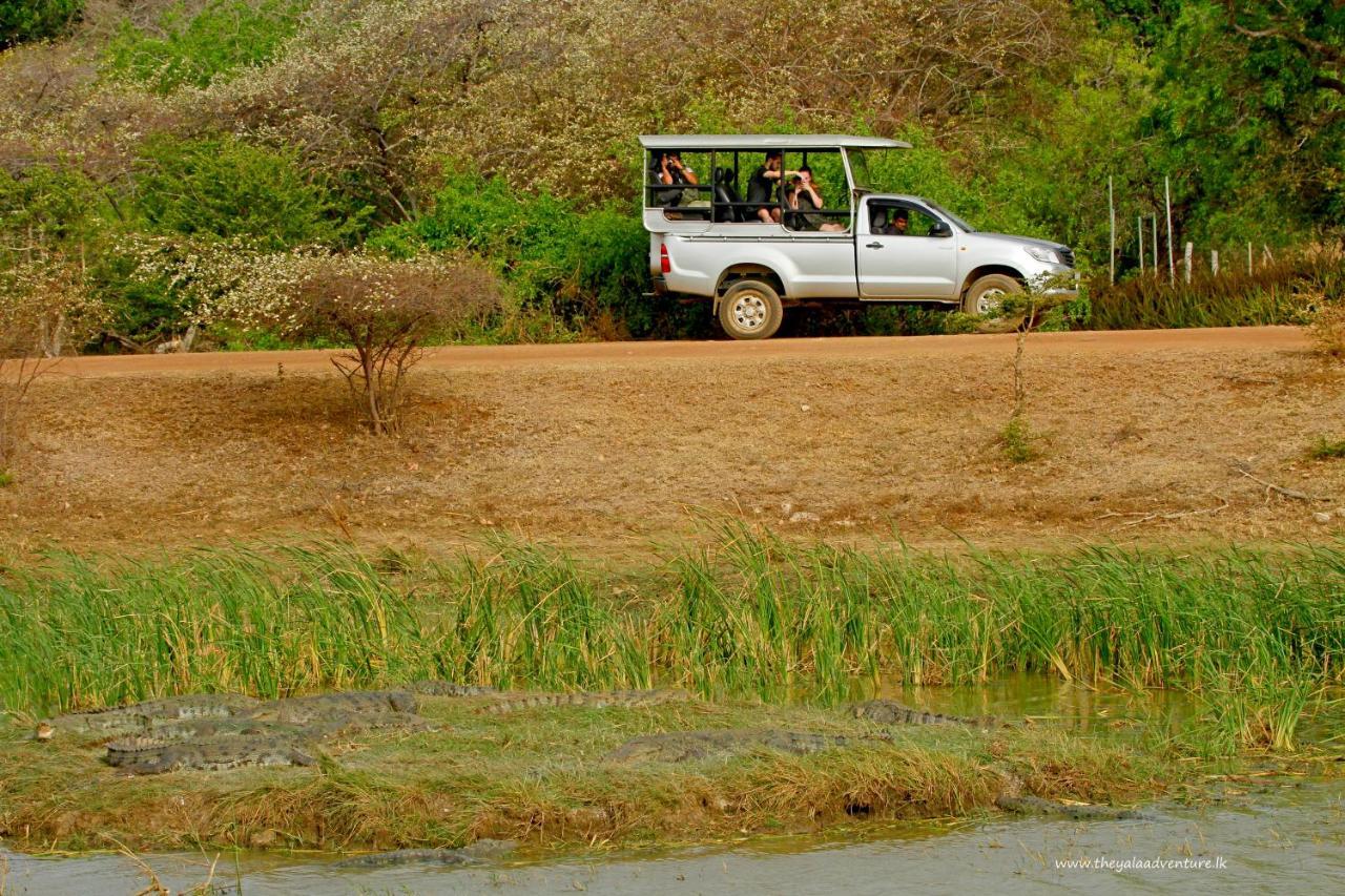 מלון טיסמהרמה The Yala Adventure מראה חיצוני תמונה